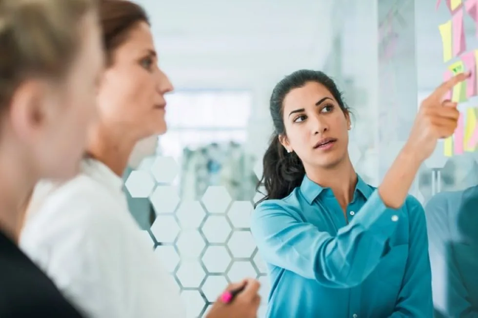 project management